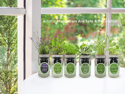 Hydroponic Herb Growing Kit Set, Self-Watering Mason Jar Herb Garden Starter Kit Indoor, Windowsill Herbs Garden, Grow Your Own Herbs from Organic Seeds (Basil, Dill, Chives)
