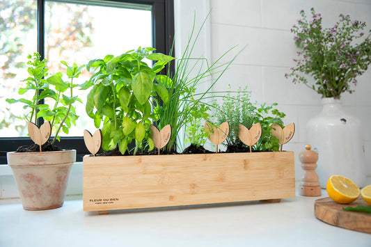 FLEUR DU BIEN Indoor Herb Garden Kit + Planter, 6 Herb Seed Packs, Window Gardening Set Plant Marker, Biodegradable Growing Pots, Soil Disc