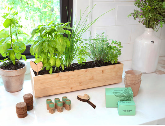 FLEUR DU BIEN Indoor Herb Garden Kit + Planter, 6 Herb Seed Packs, Window Gardening Set Plant Marker, Biodegradable Growing Pots, Soil Disc